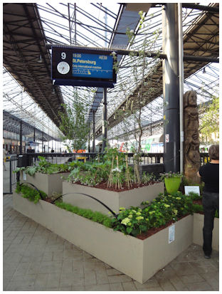 ihmepuutarha_valmis_keskiosa