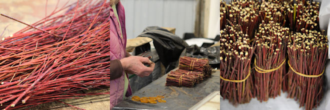 kanukan pistokaslisays