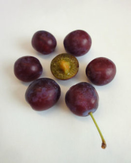 Tuotekuva-PARIKKALAN TUMMALUUMU LUUMU