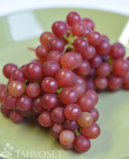 Tuotekuva Siegerrebe aitoviiniköynnös