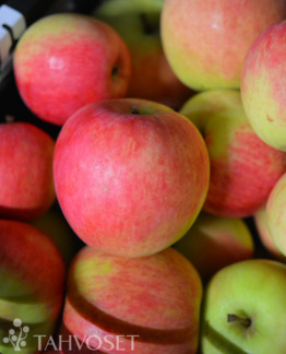 Tuotekuva Uslada omena