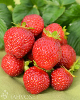 Tuotekuva-KORONA MANSIKKA; 10 kpl;box