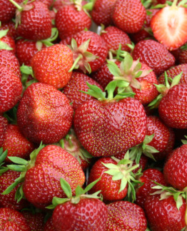 Tuotekuva-POLKA MANSIKKA; 10 kpl;box